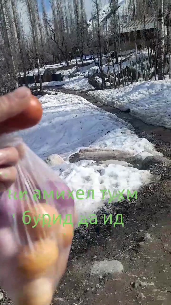 @mirzo_07
