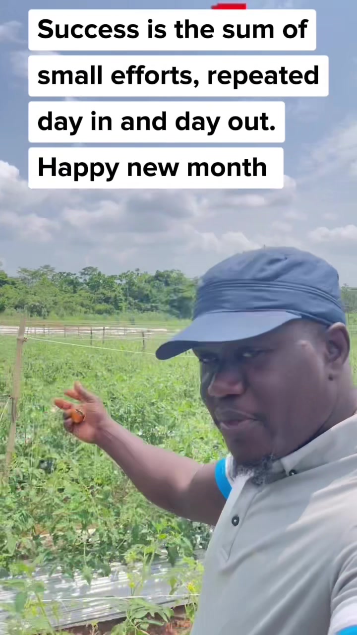 @BabaObaTv @Yuki Agro limited
