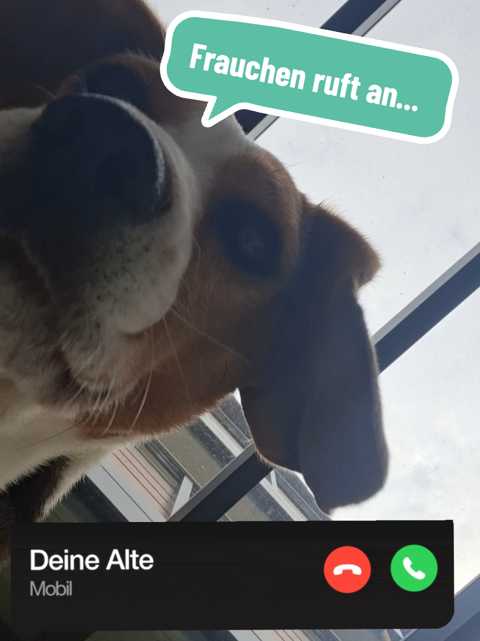 @BeagleTrifftBerner