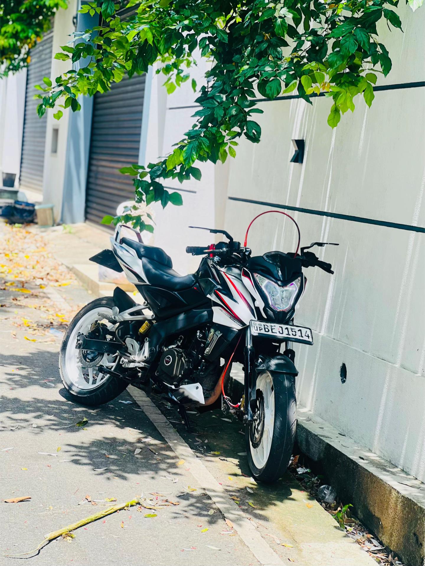 @Ayodya🍒