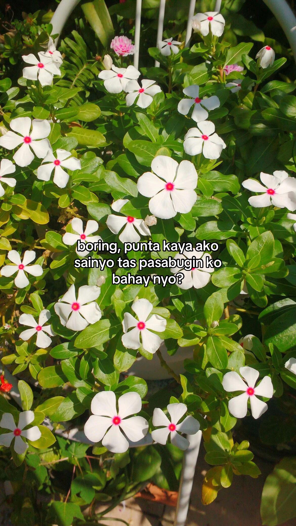@𝓼𝓱𝓪𝓲𝓮۶ৎ