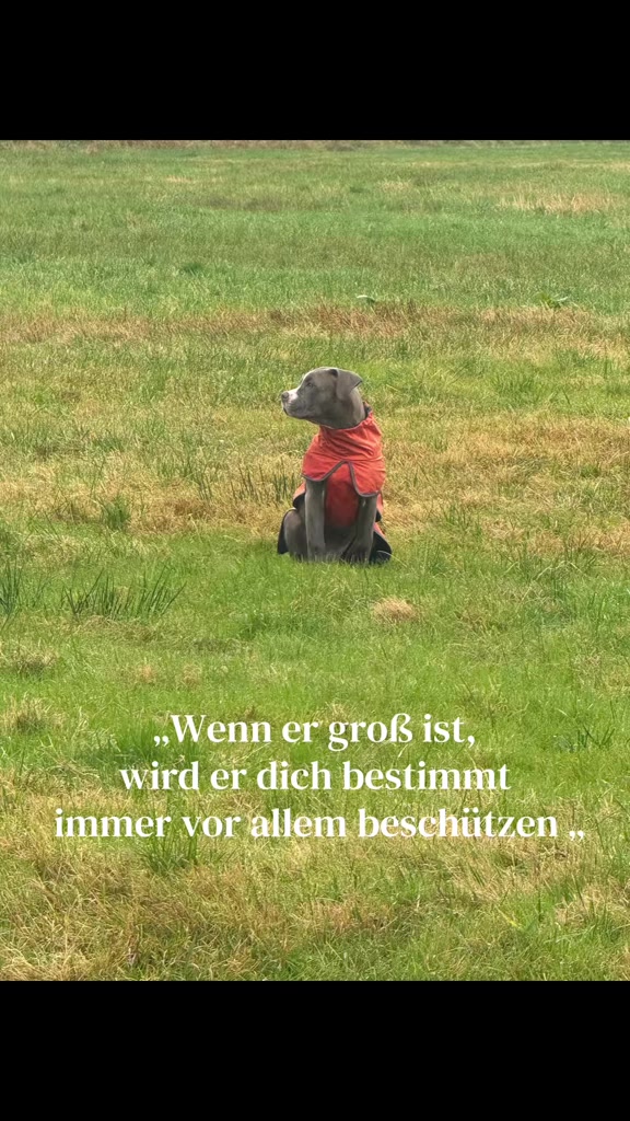 @romeo.der.bully
