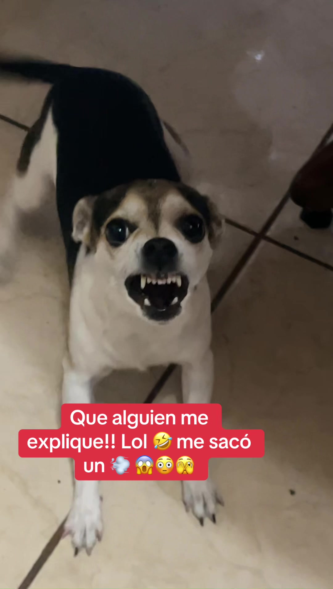 @Cristian-Navarro16
