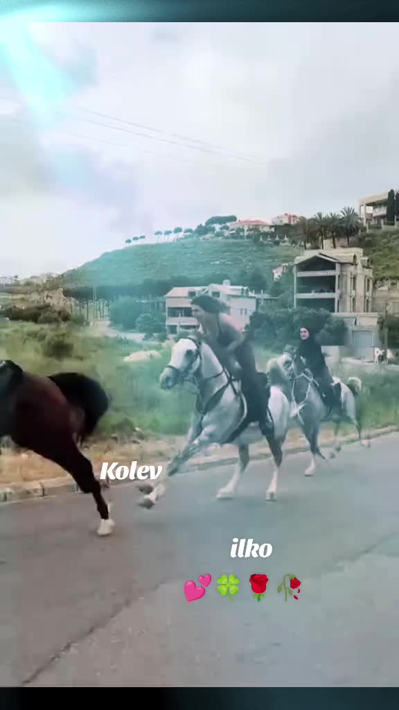 @ilkokolev401