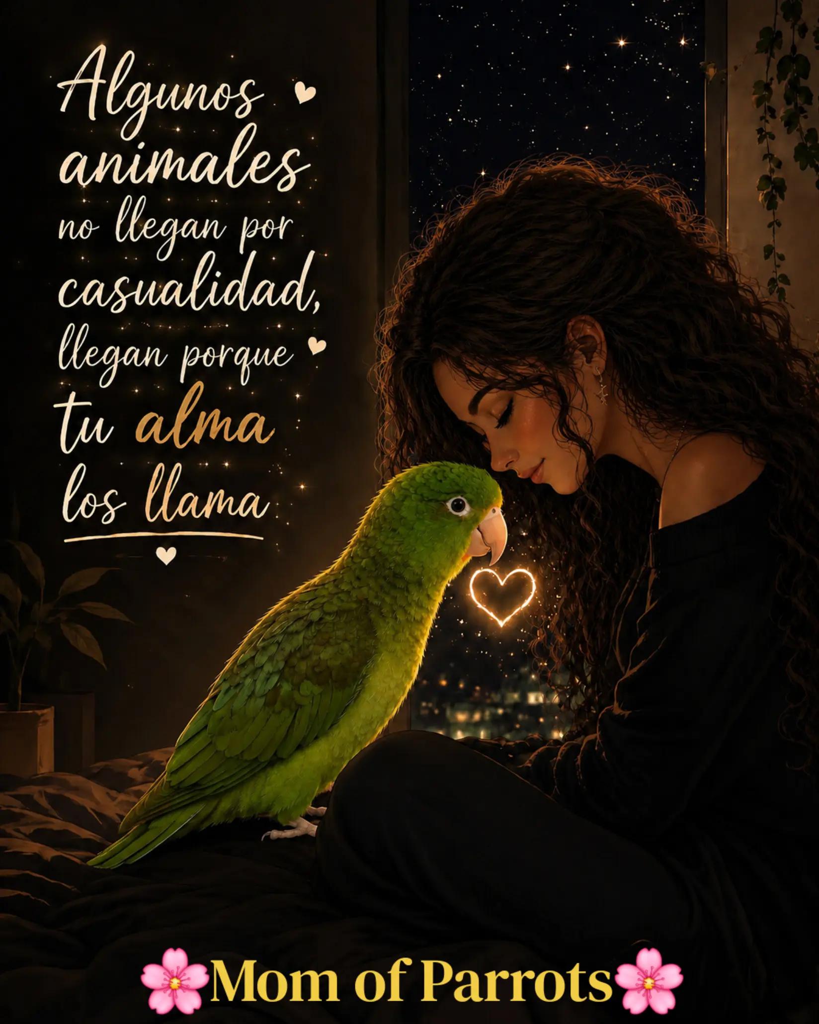 @🦋🇵🇷Mom of Parrots🇵🇷🦋