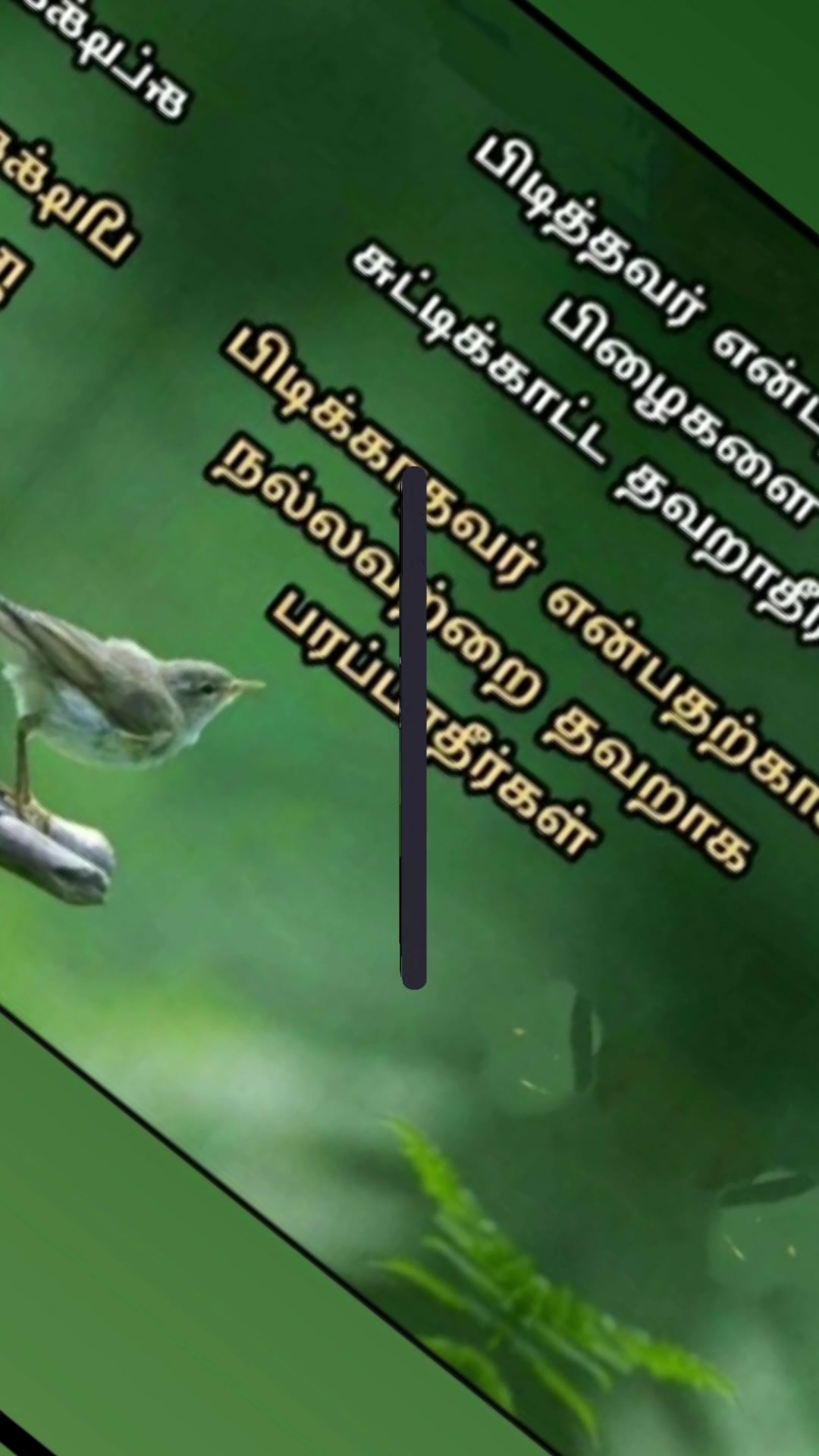 @🫰💫🕊️𝐟s🕊️💫🫰