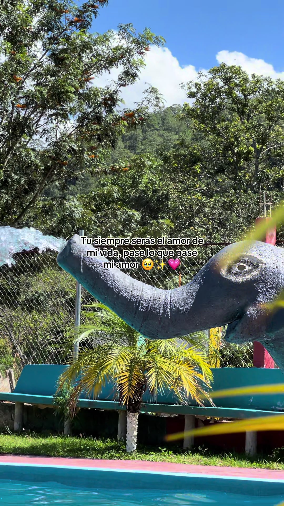 @🧃fracesgtjr🧃