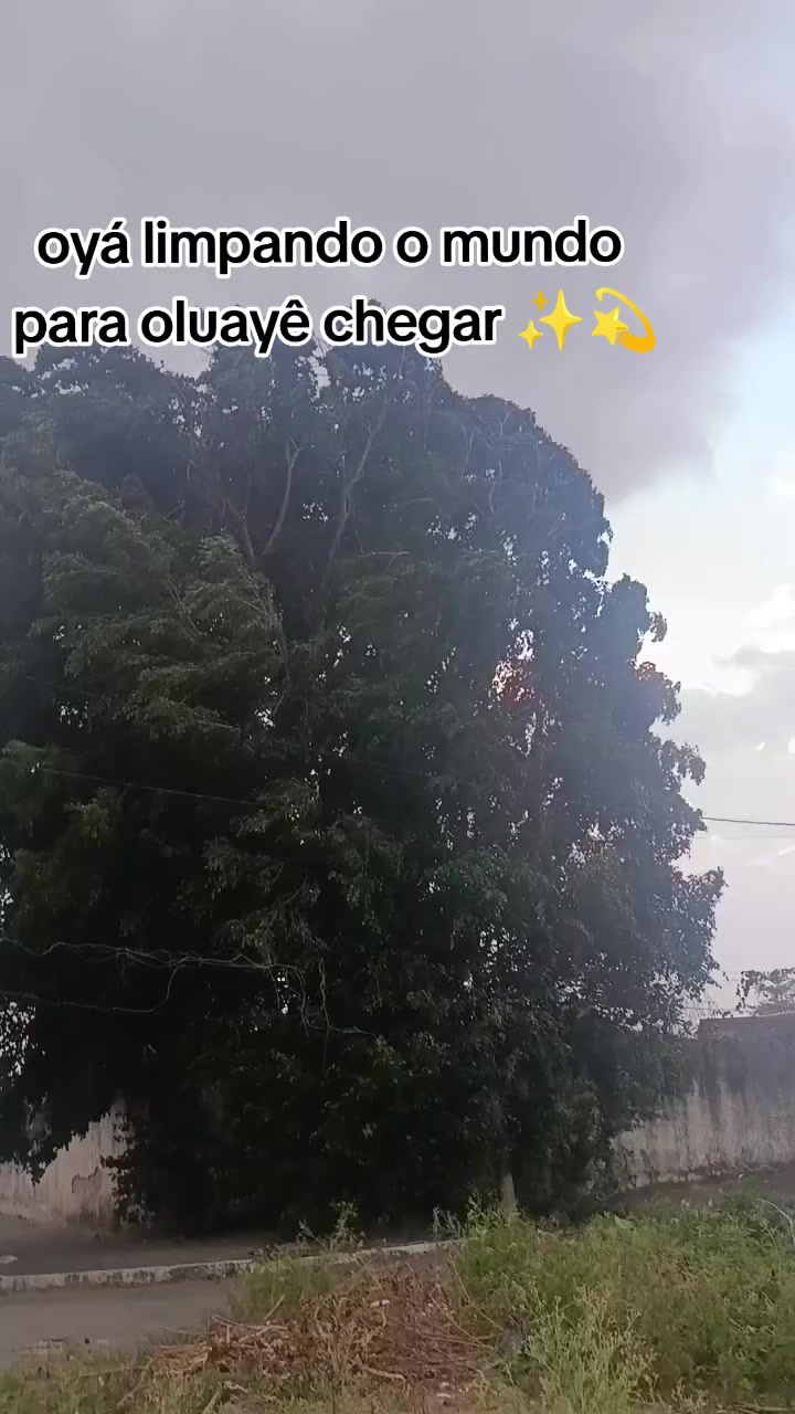 @Robson Martins