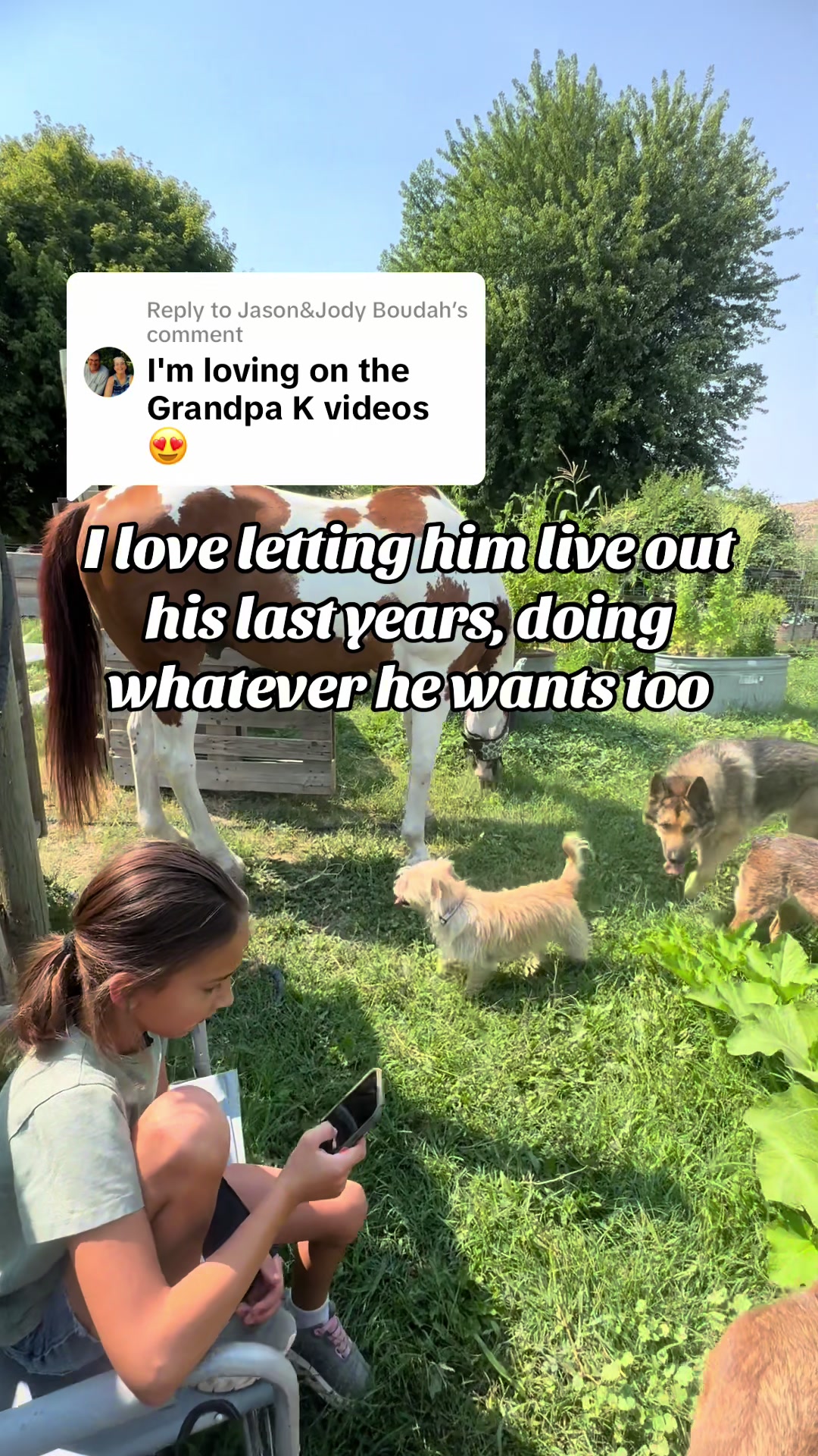 @Hot Sauce the Mini horse 🐎