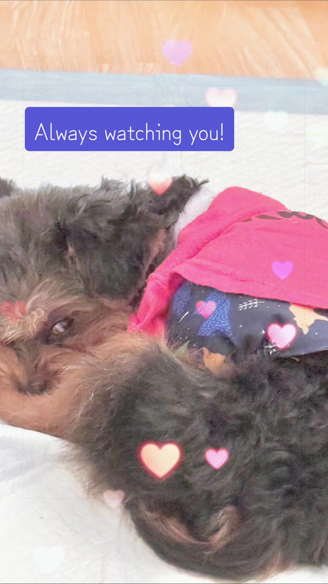 @7 11 Audrey✝️💜🙏🏻🌴