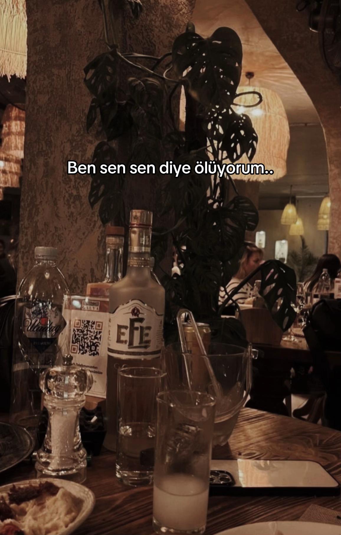 @seviyorgibiydin24