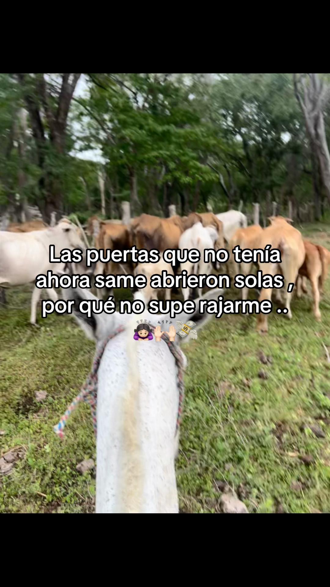 @Liss! 🤠