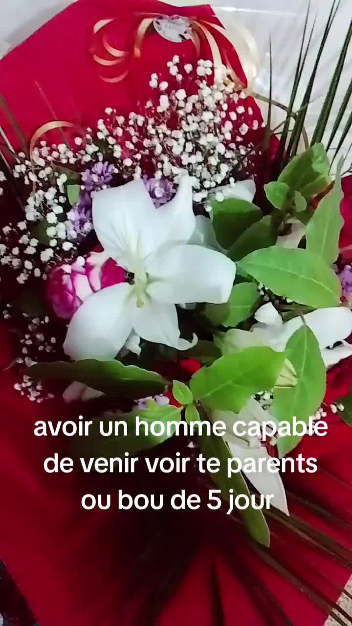 @@NovaFlow