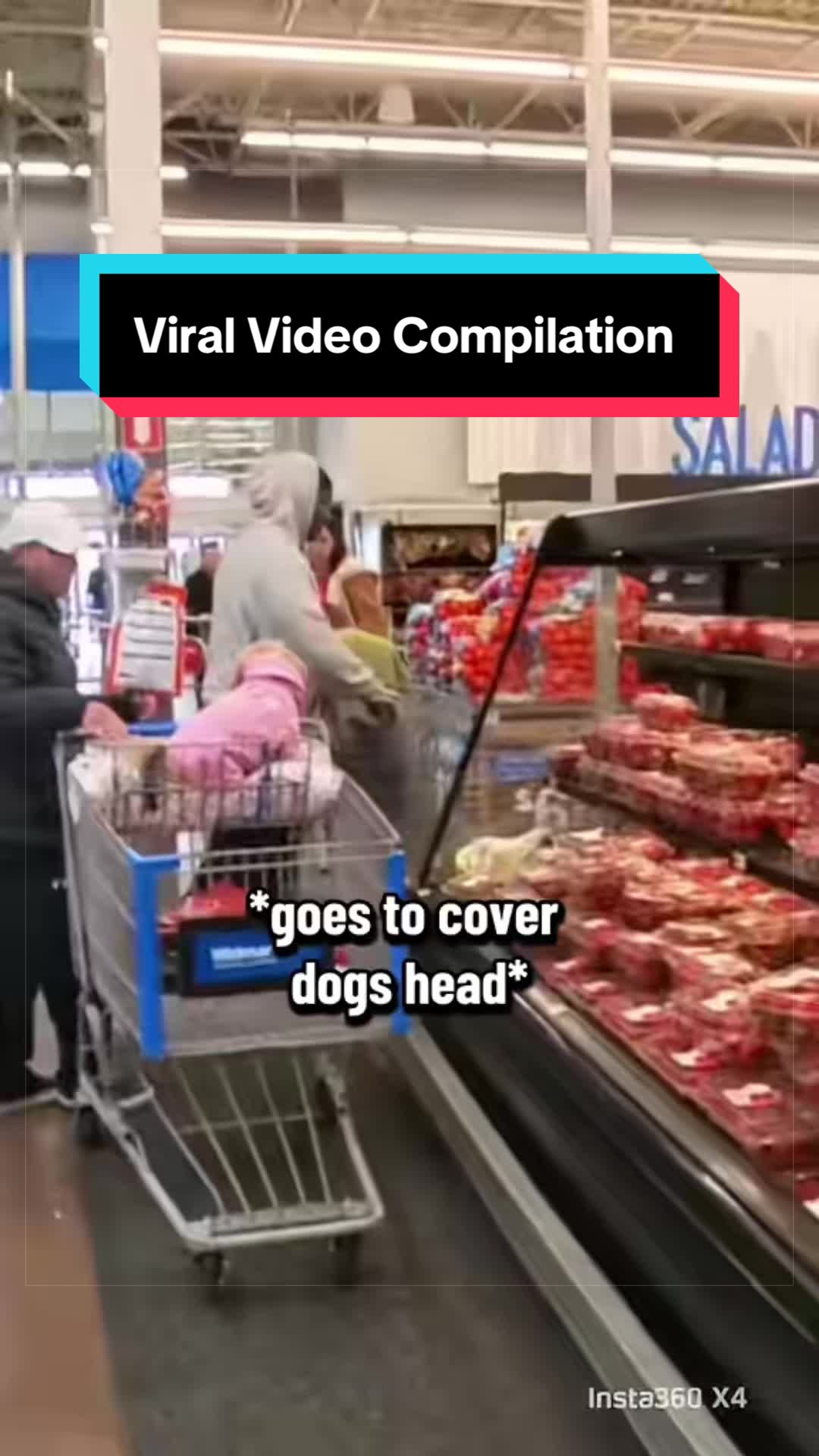 @Dakota & Pups