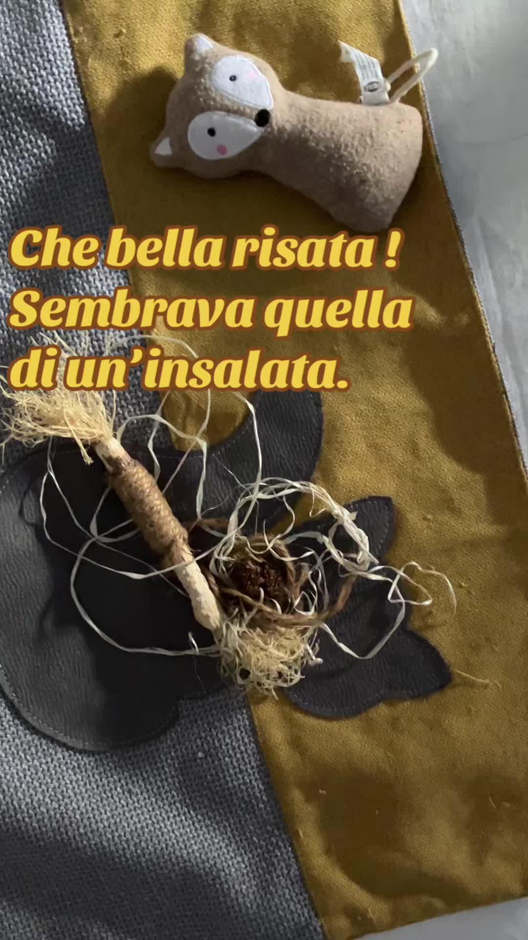 @Massimo Don&agrave;