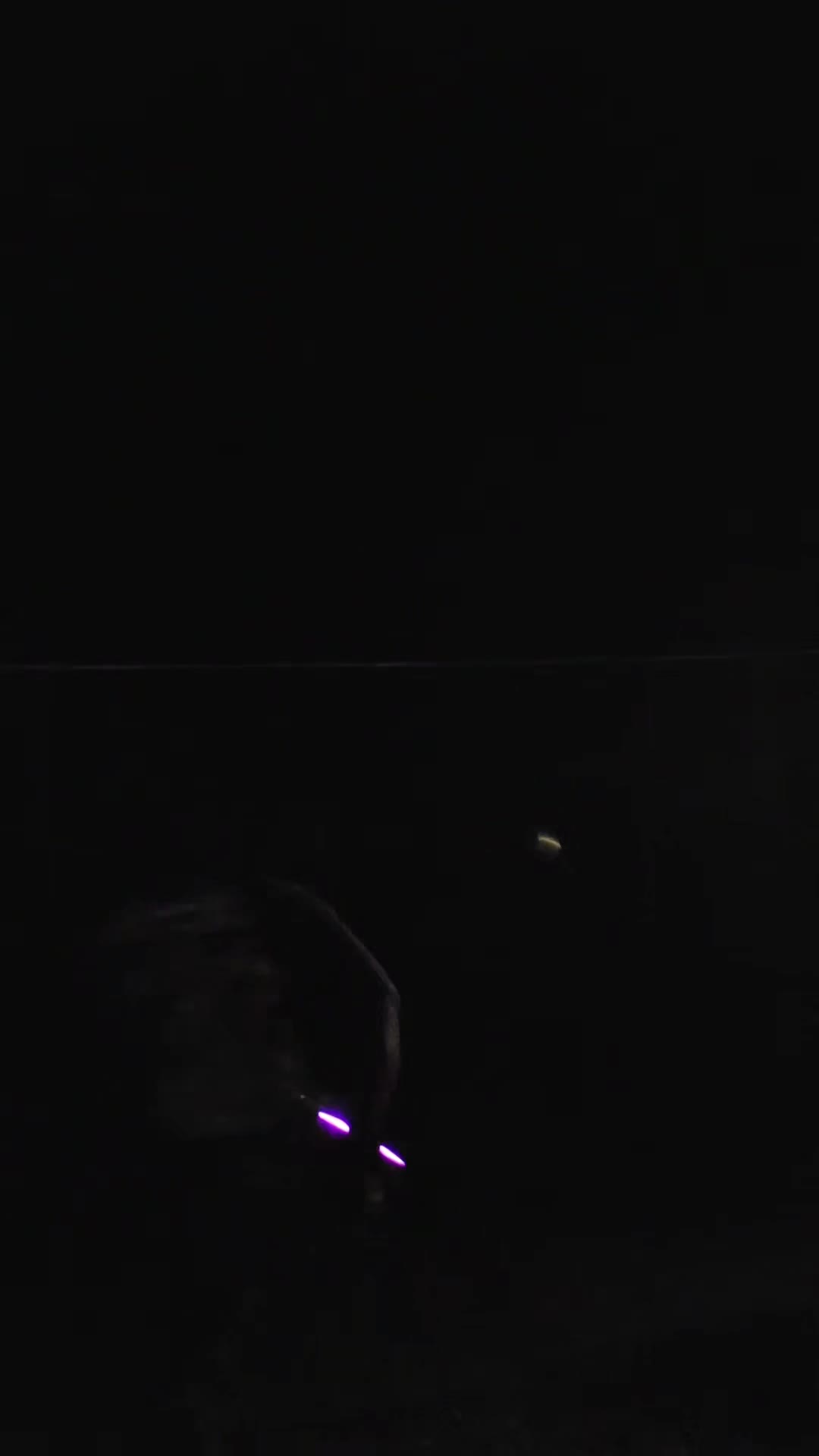 @Digital Jedi