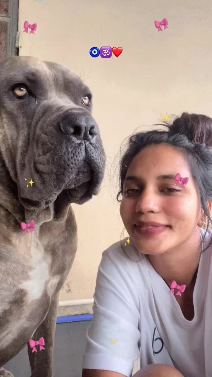 @Mafiacanecorso