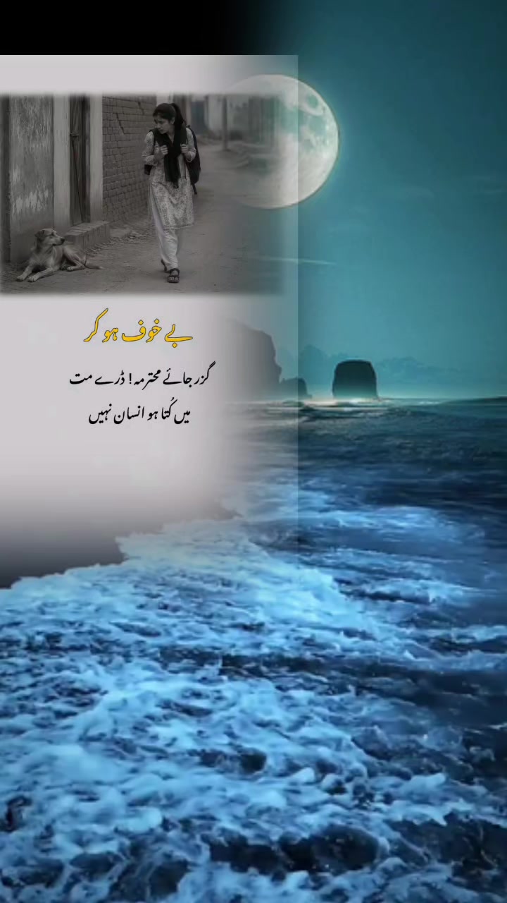 @nadan 778855