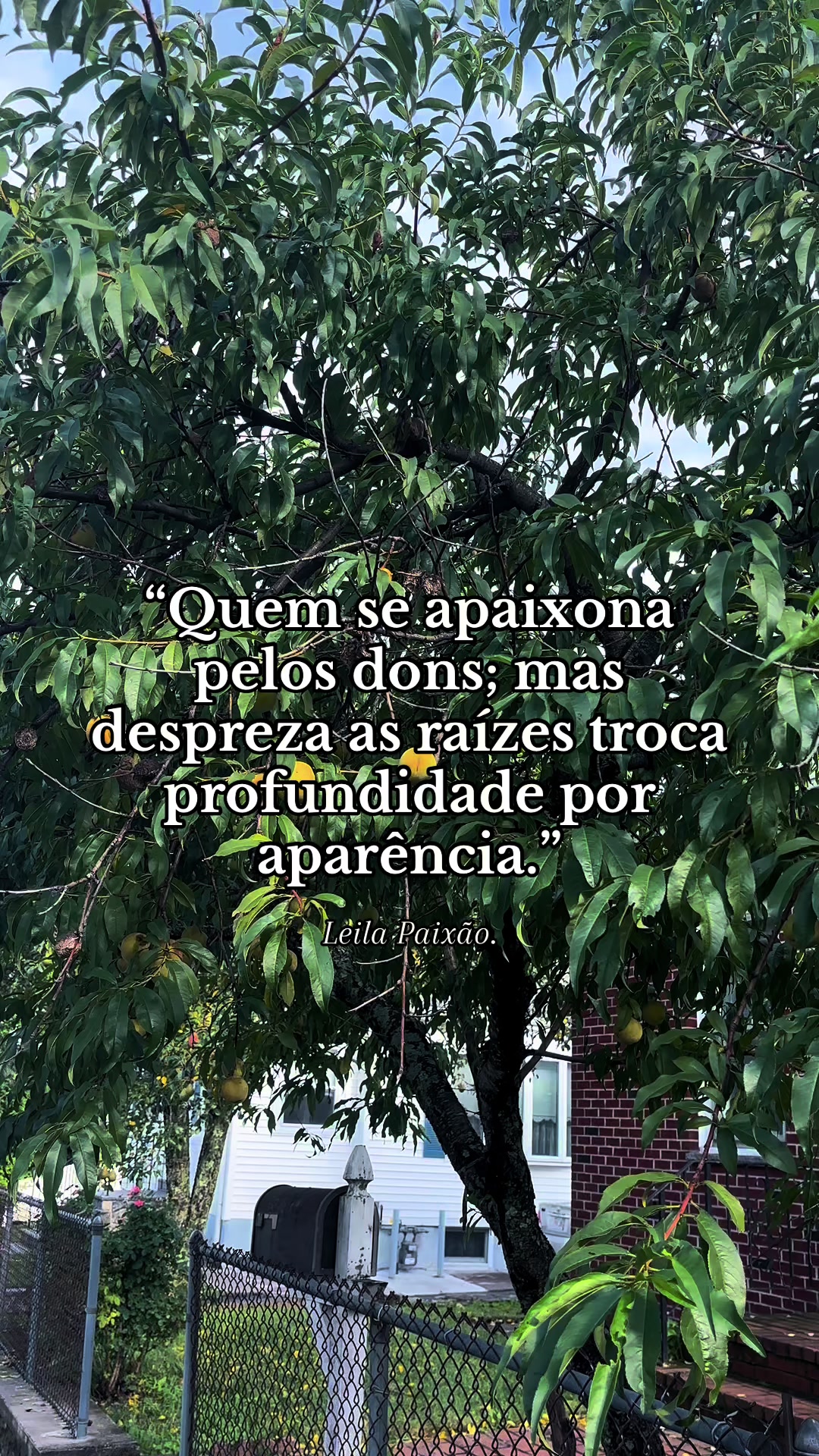 @leilapaixaoo
