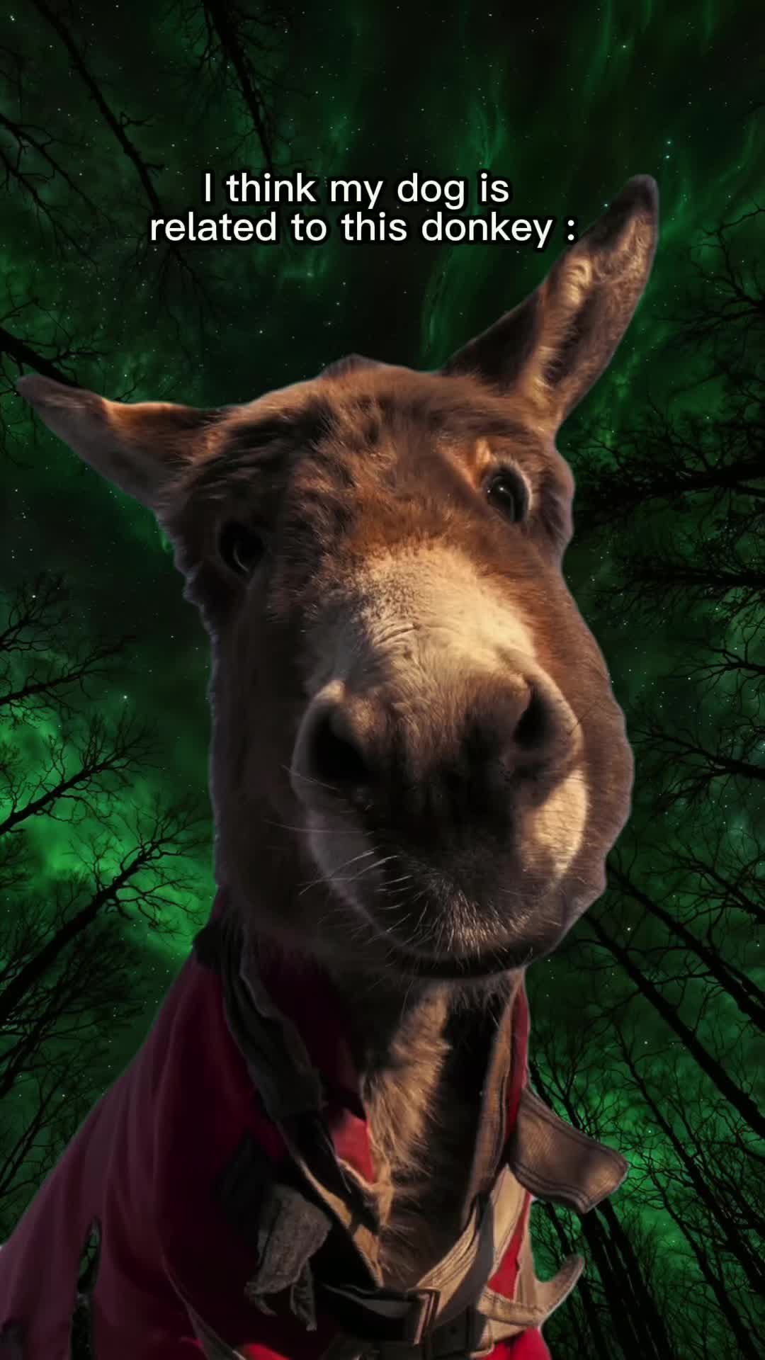 @𝕴𝖓𝖐𝖊𝖉_𝖀𝖕_𝕬𝖓𝖌𝖊𝖑2.0
