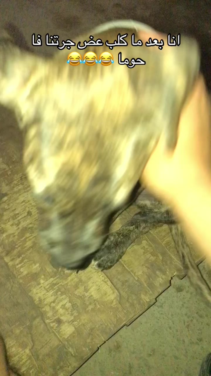 @im&auml;d b&ntilde;s 🎩🥂