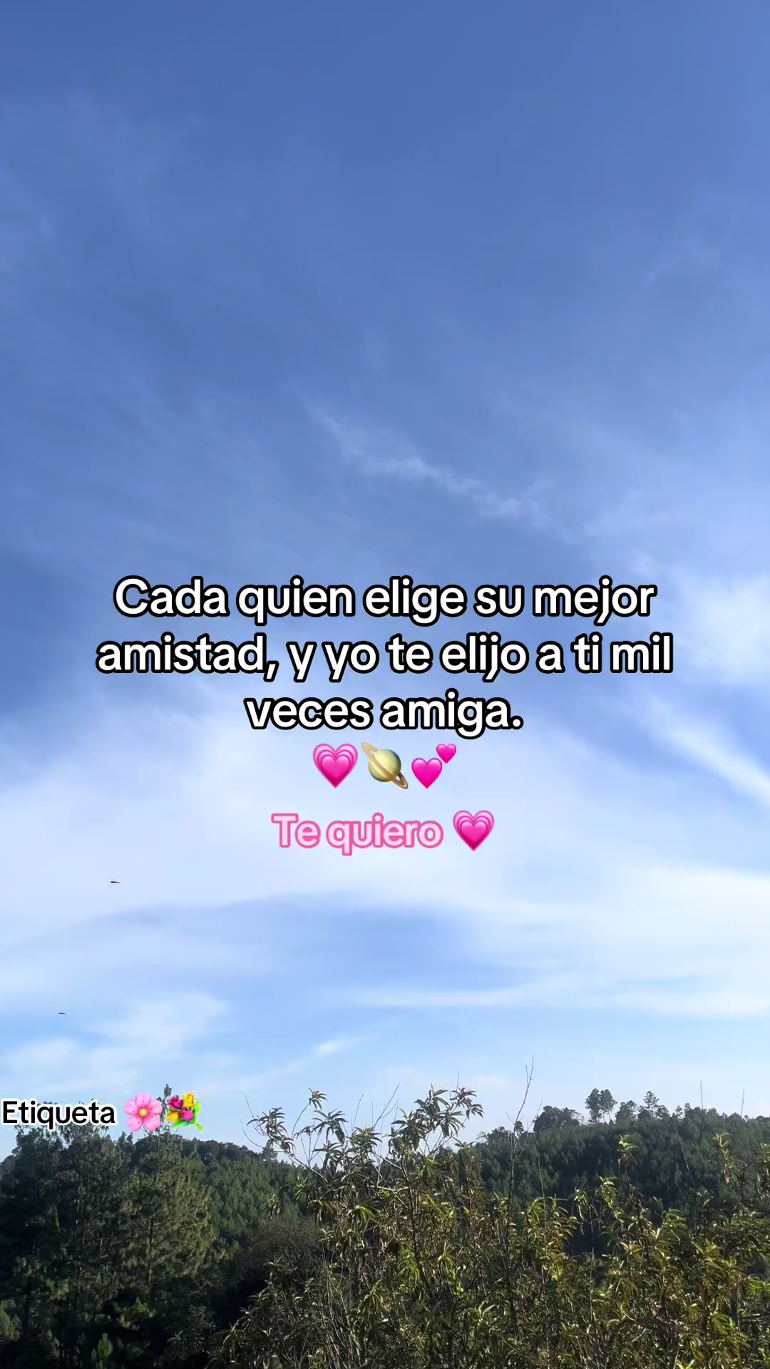@Cruz ☘️Frases