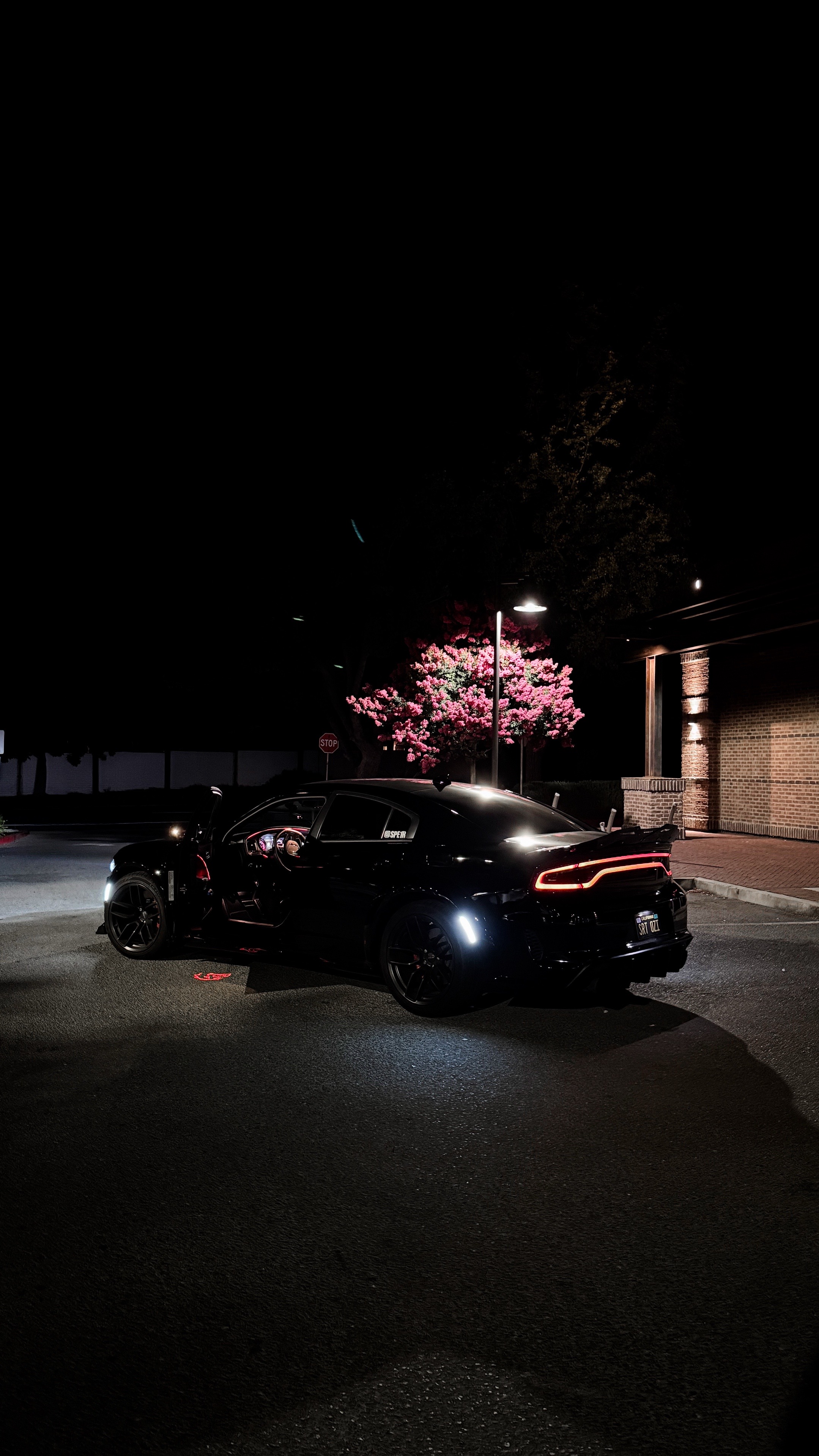 @SRT🦇OZI