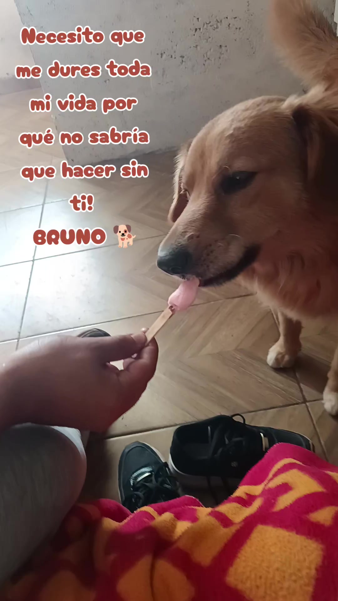 @Magui Tapia ✨️