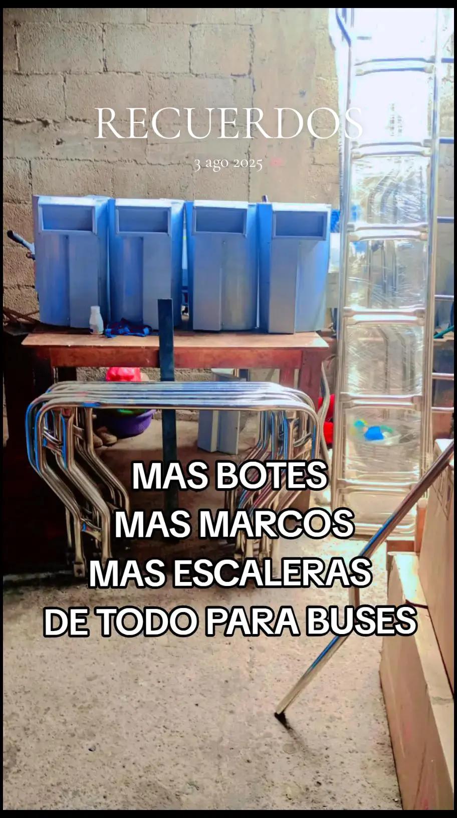 @Buses y Accesorios DG