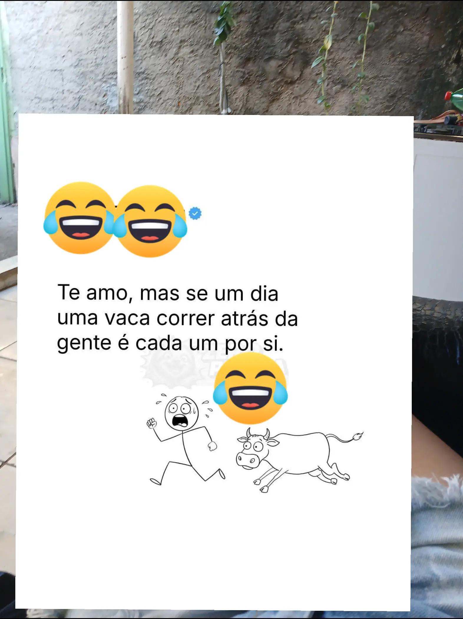 @humor da C&eacute;lia 🤣