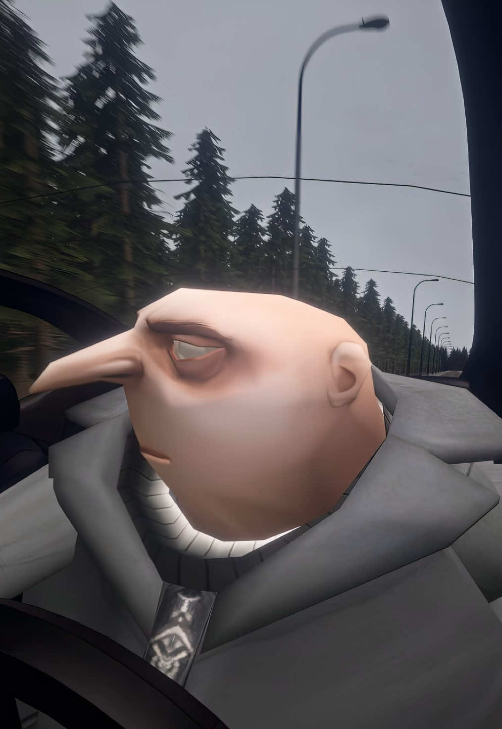 @gru vlogs