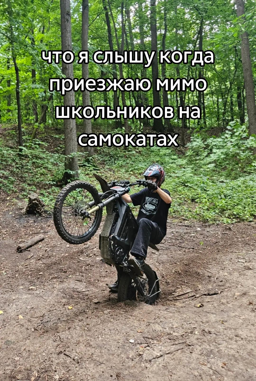 @казанский леопард