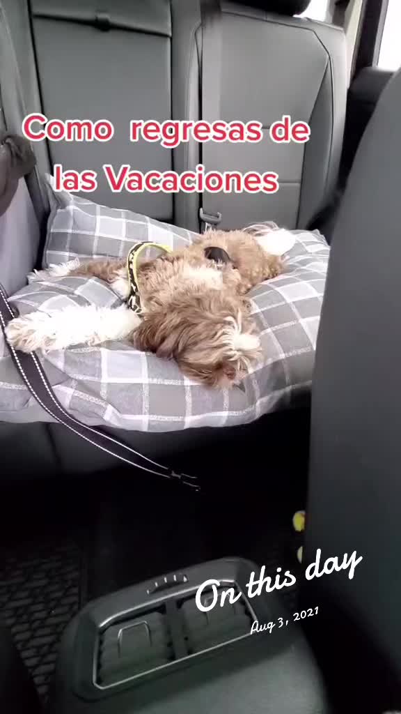 @Oreo & Cookie