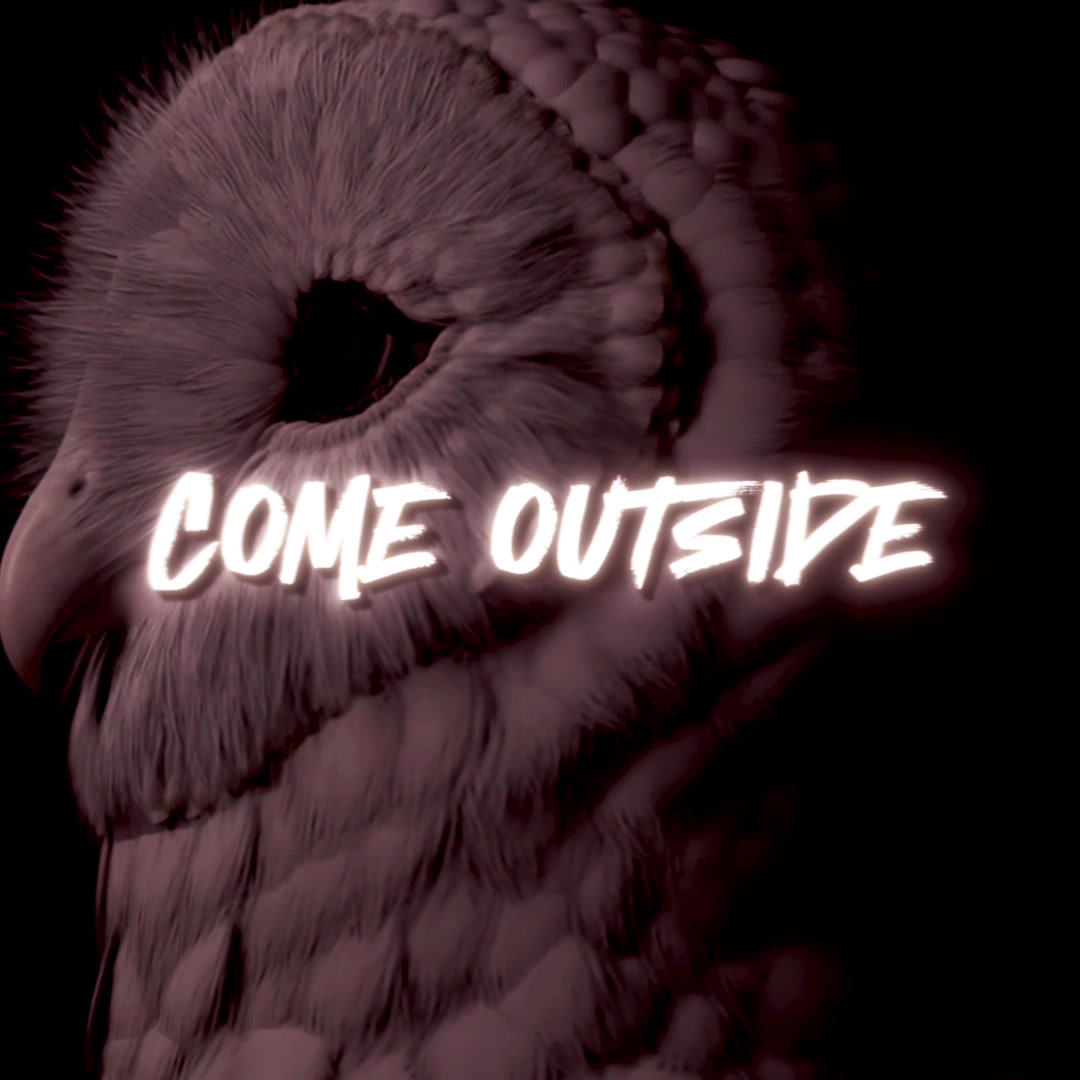 @Deftones Fans