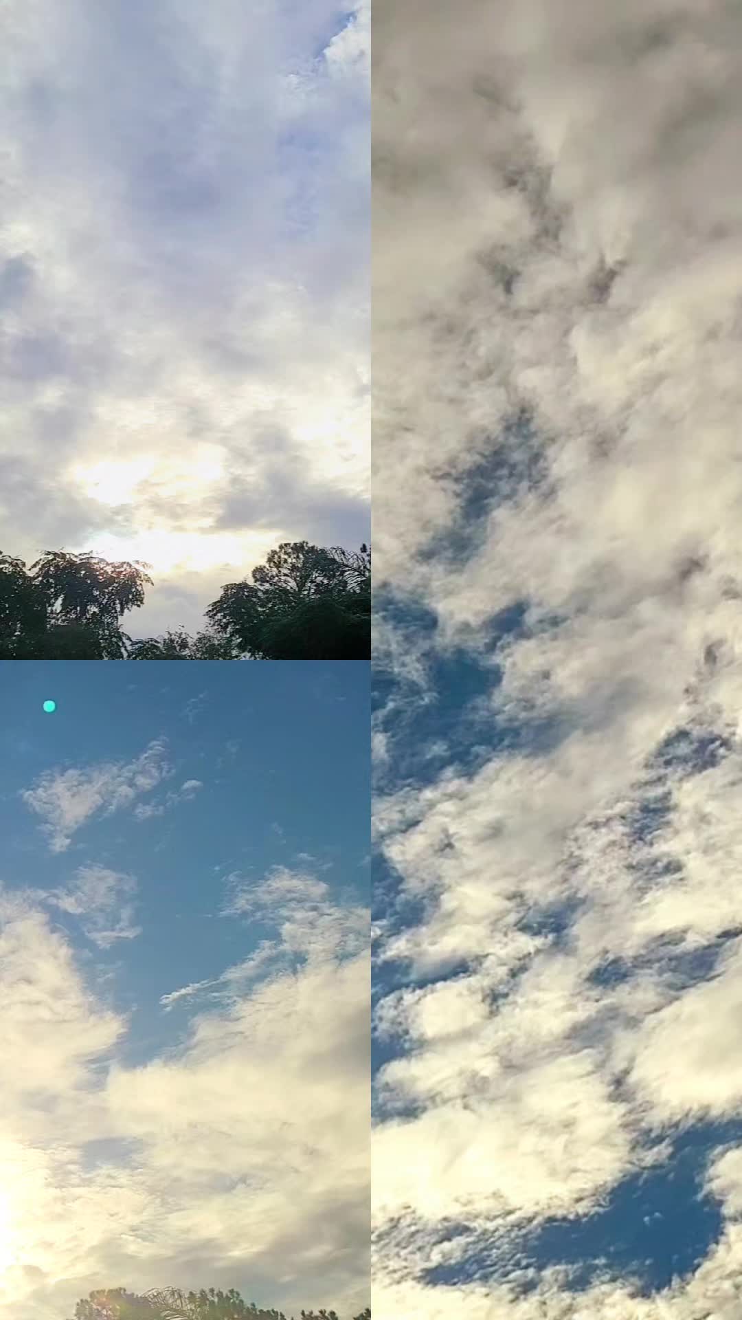 @FloridaLiving