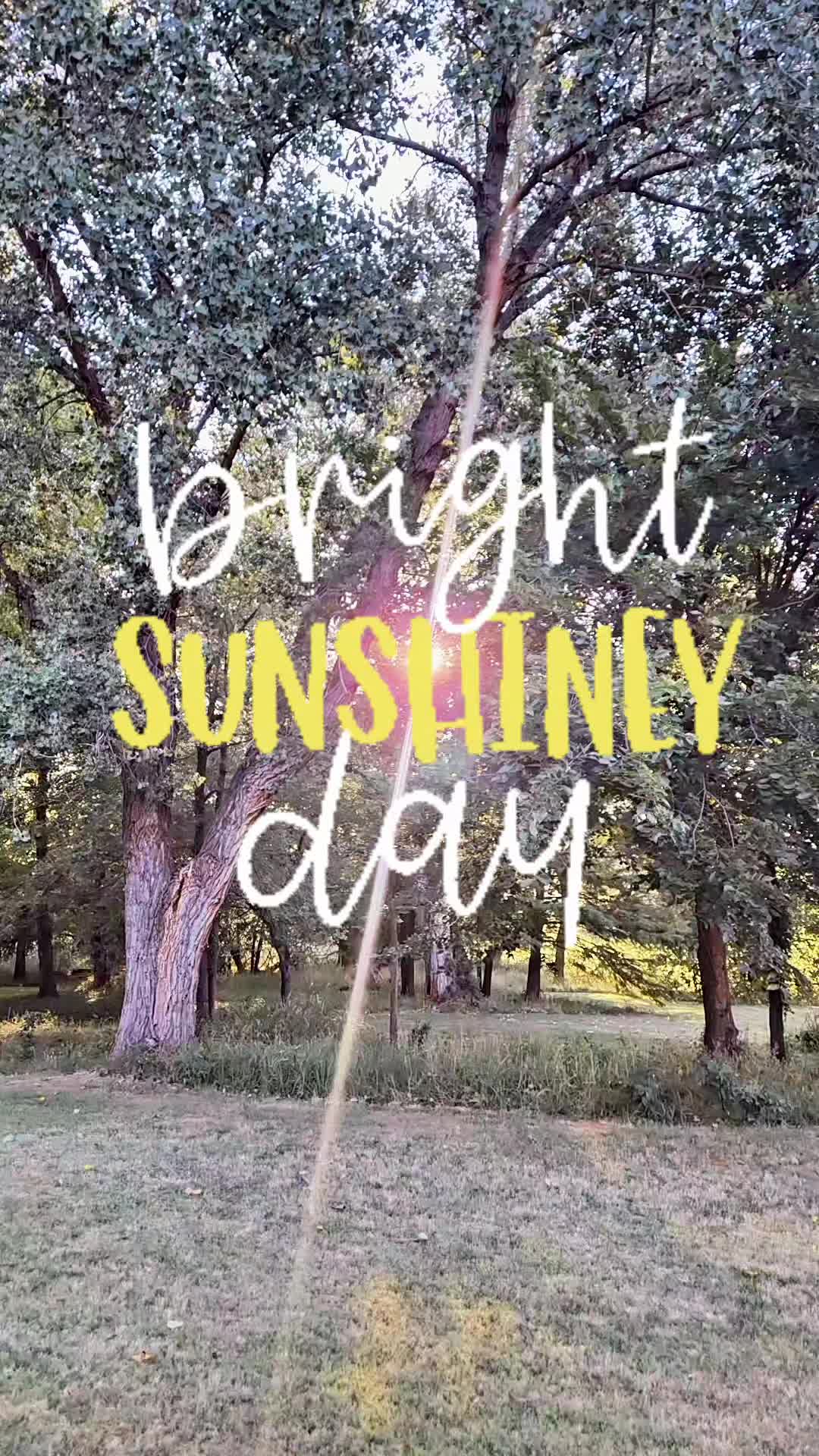 @☀️☀️Chasing Sunshine☀️☀️