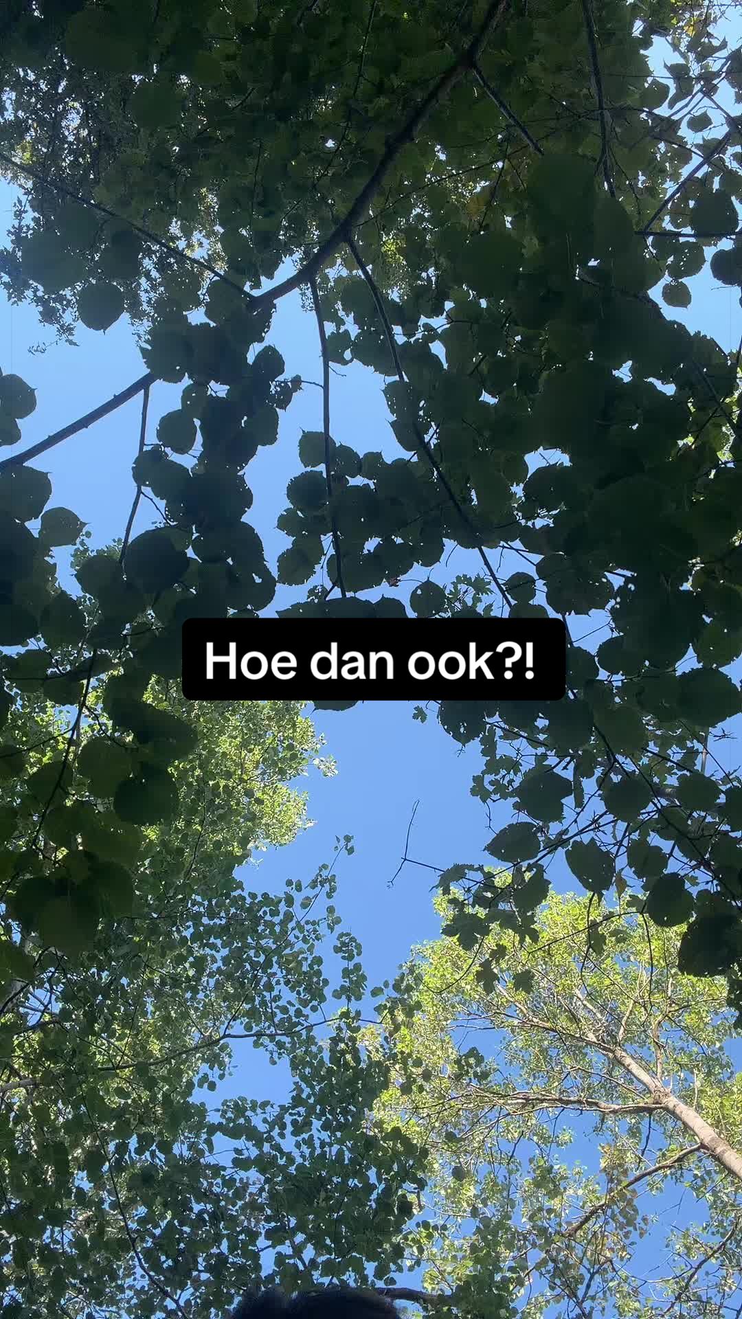 @Zoe_jack_charlie