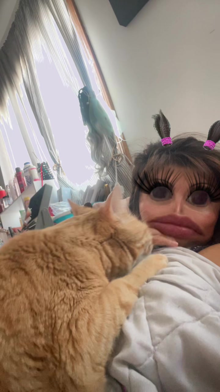 @crazy kitty
