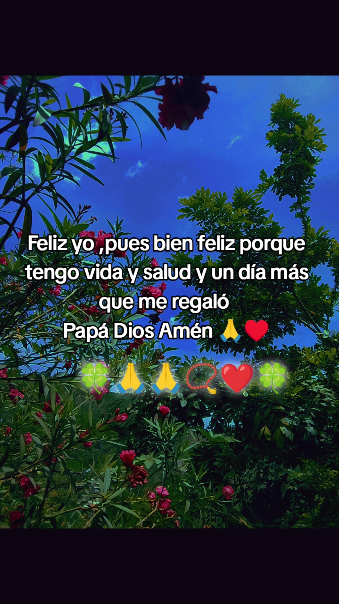 @🌹🌹Iliana Lastro🌹🌹