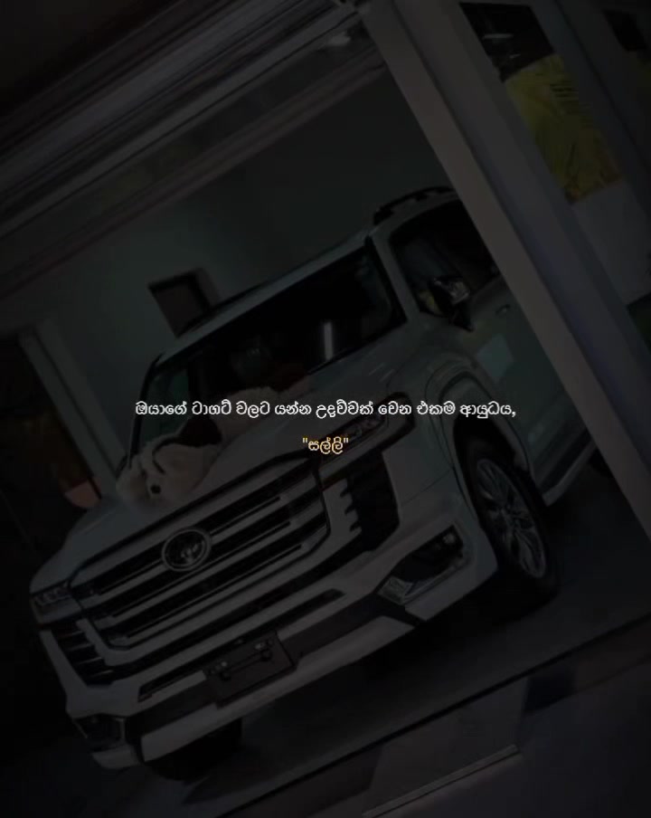 @𝐙𝐕𝐇𝐕𝐍❕