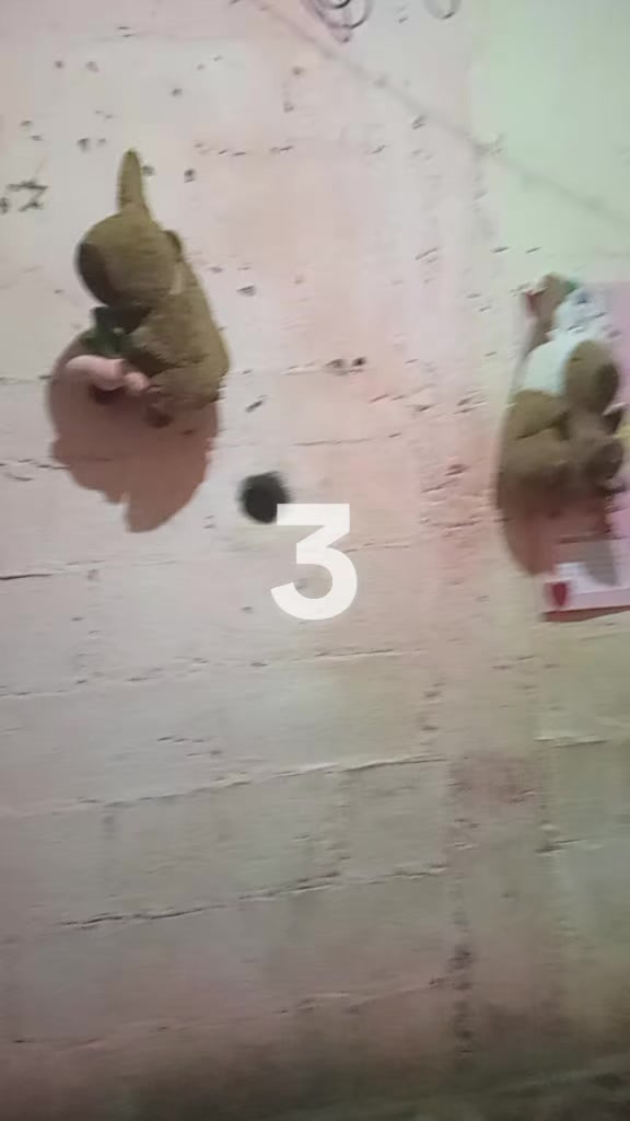 @ROSITA 🤗🤗❤️