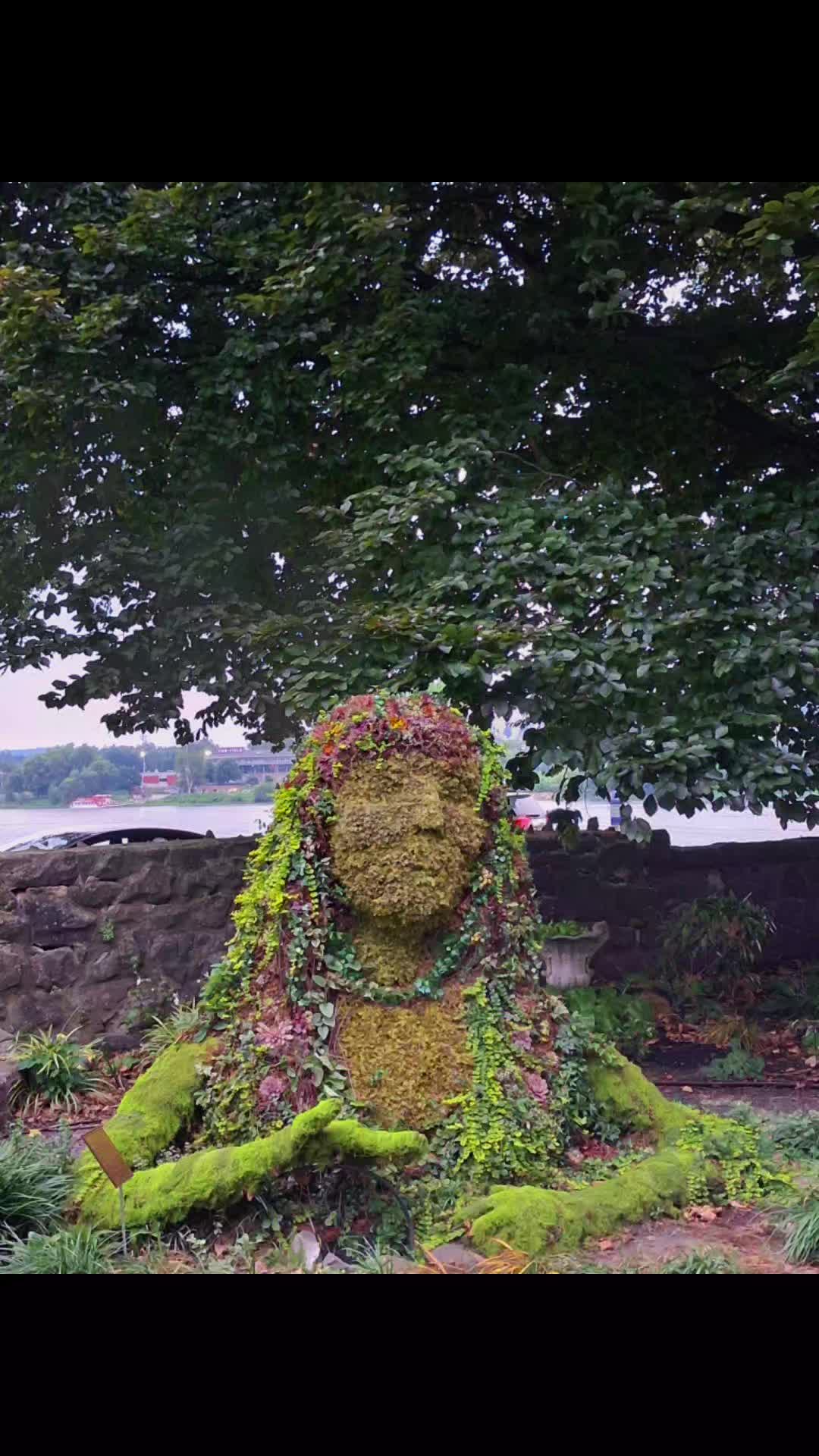 @Naturalist 🌳 🚶&zwj;♀️ 🐢 🐦&zwj;⬛