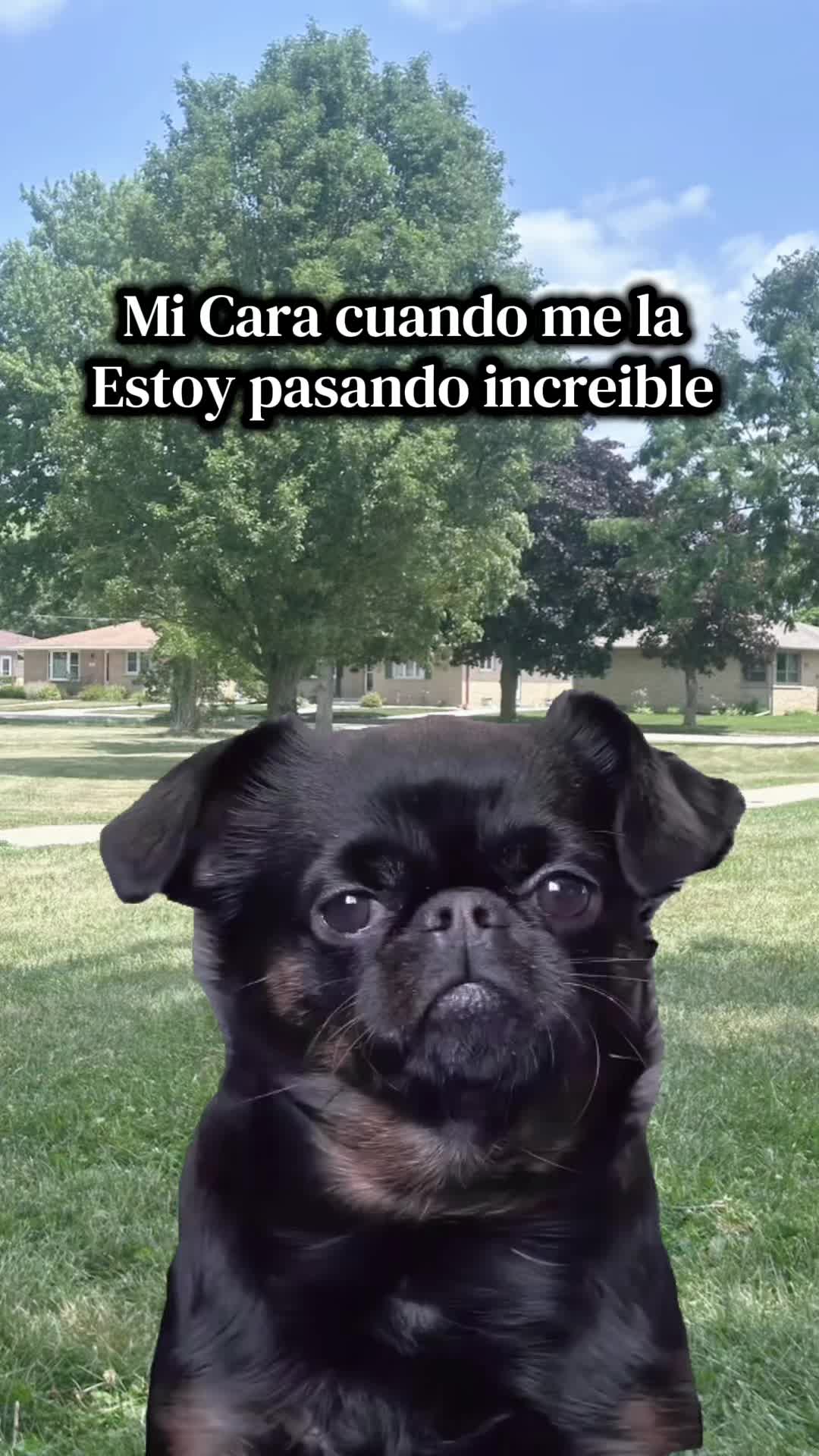 @𝓩𝓮𝓻𝓲𝓶𝓪𝓻