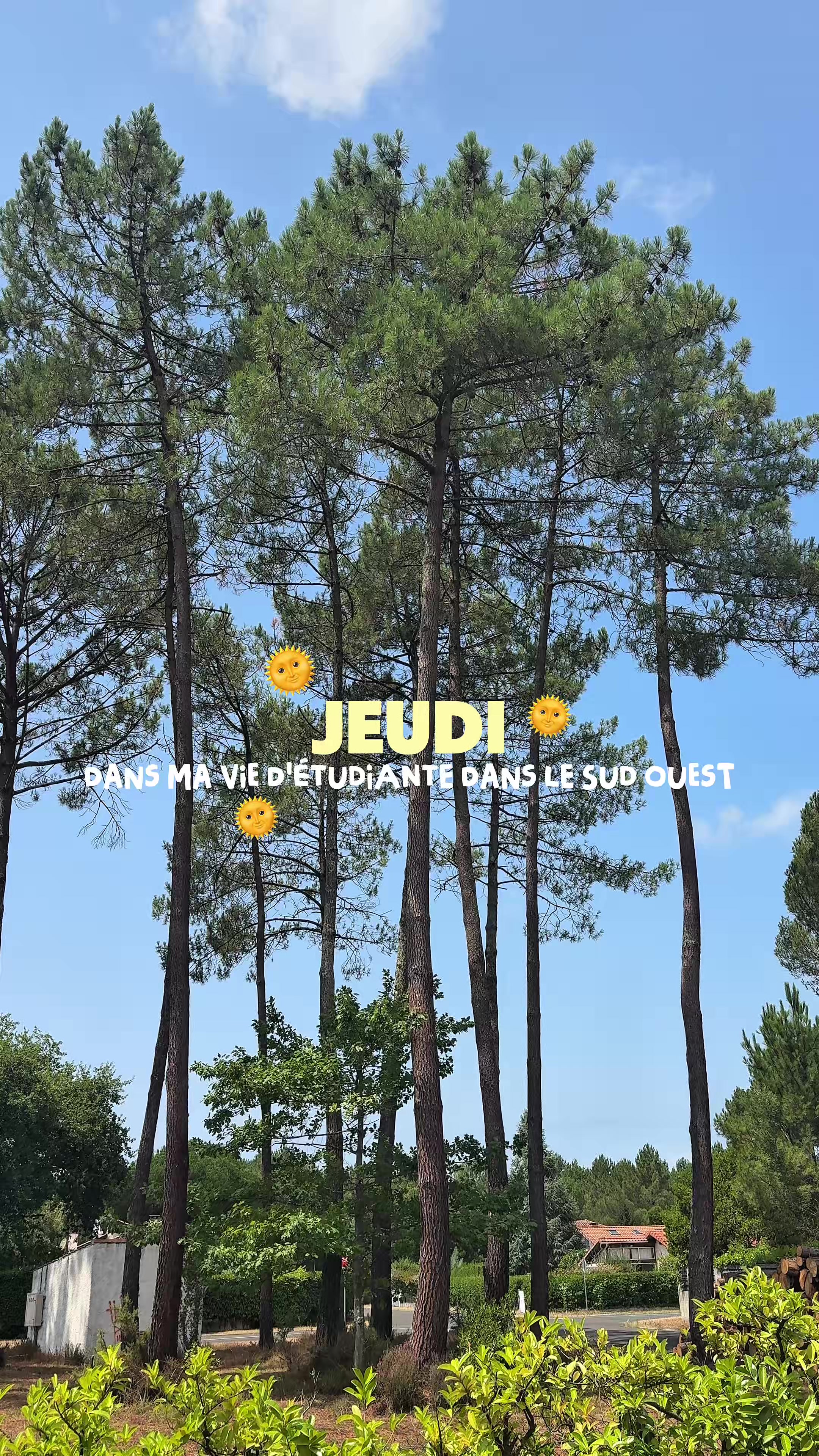 @oph&eacute;🌞