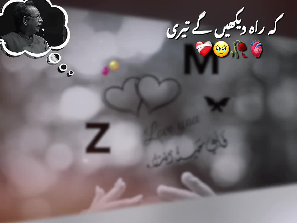 @M Z lover