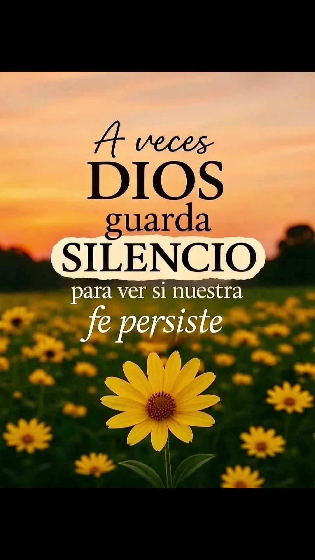 @Issamorales6907