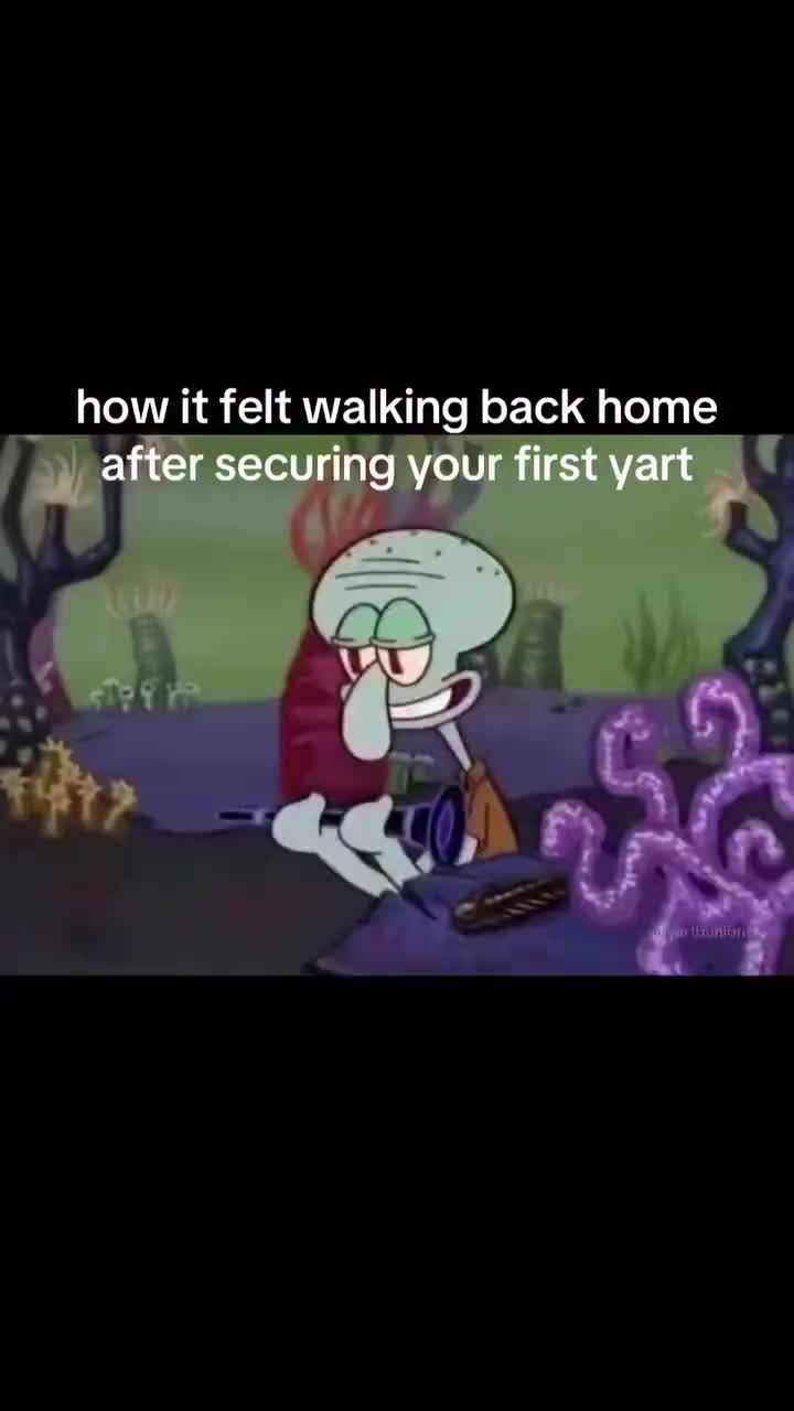 @🪽🪽🪽