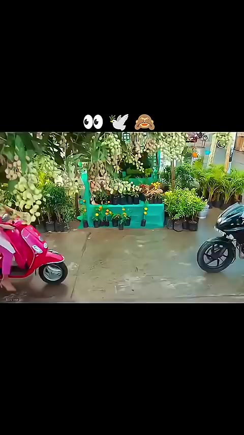@md hamirul1010