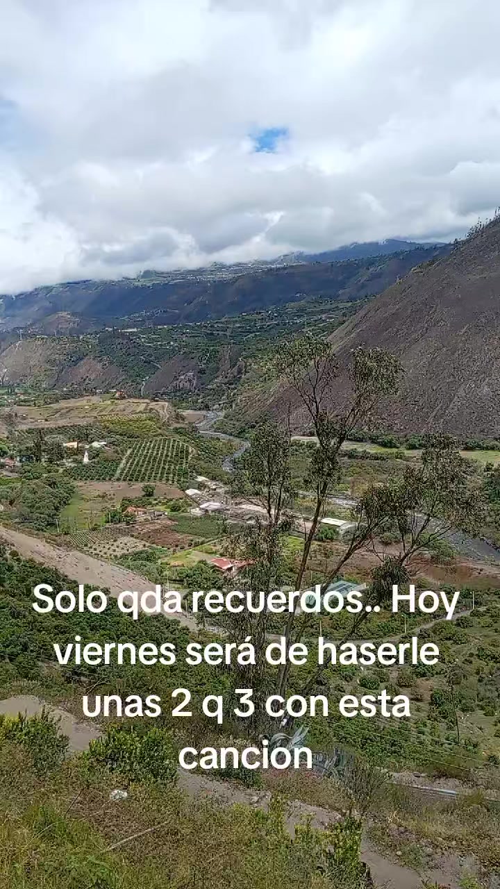 @chica 🎋🎋sad