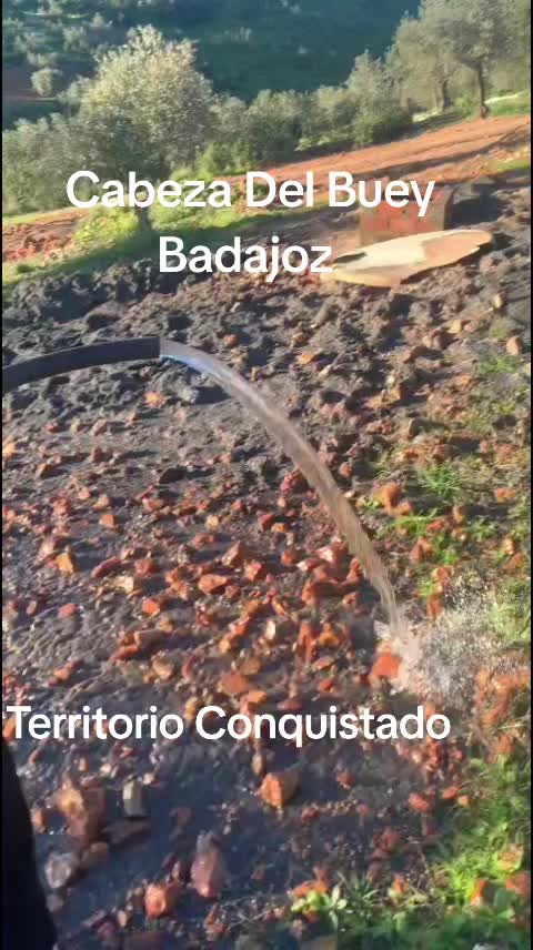 @Zahori Blas Moreno